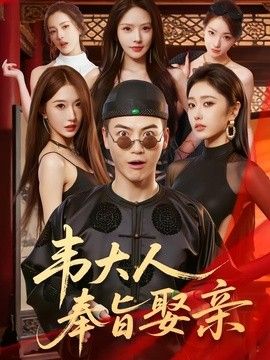韦大人奉旨娶亲海报