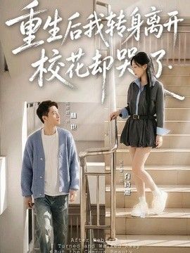 重生后我转身离开,校花却哭了海报