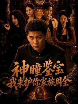 神瞳鉴宝:我来护你家族周全海报