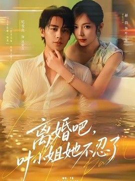 离婚吧,叶小姐她不忍了海报