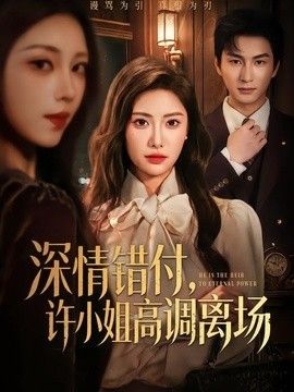 深情错付,许小姐高调离场海报